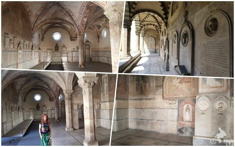 claustro verde