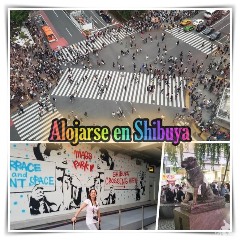 donde alojarse en Shibuya tokio
