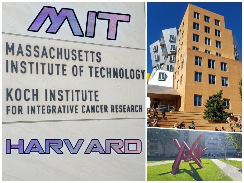 Qué ver en Harvard y en el MIT