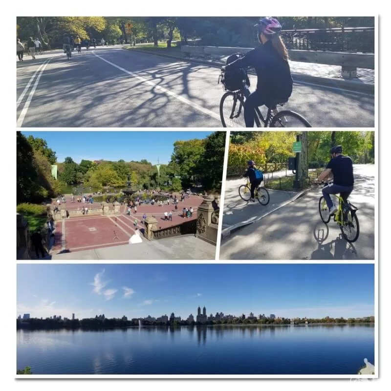 Central park - TOP lugares para visitar en New York