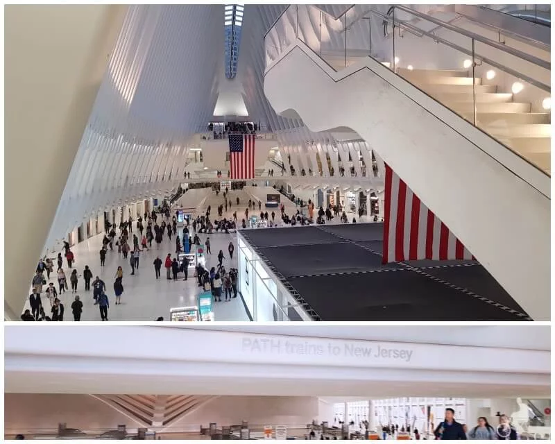 oculus new york