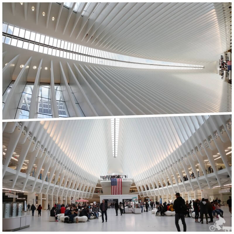 vestibulo oculus new york