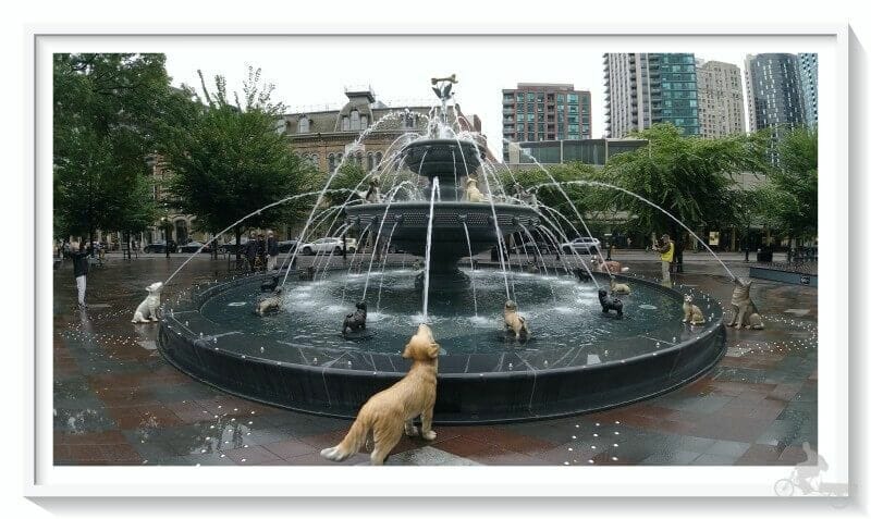fuente perros toronto