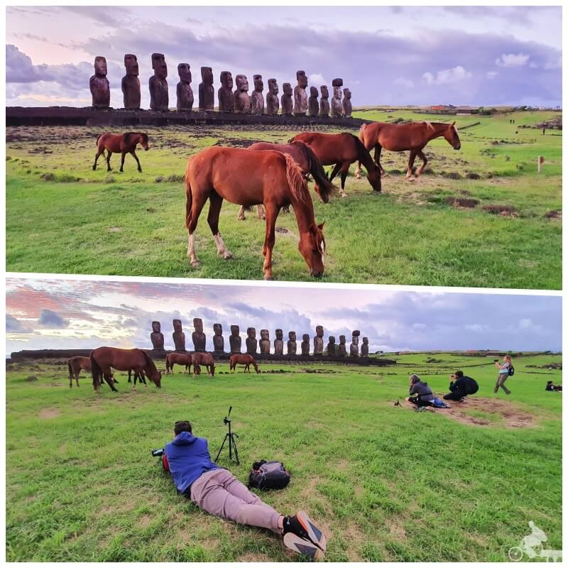 amanecer en ahu Tongariki con caballos