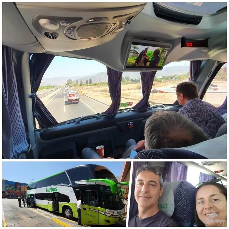 bus turbus