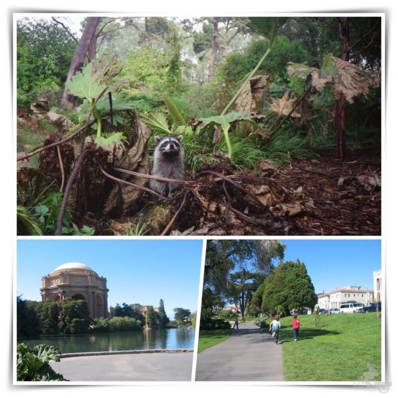 parques de san francisco