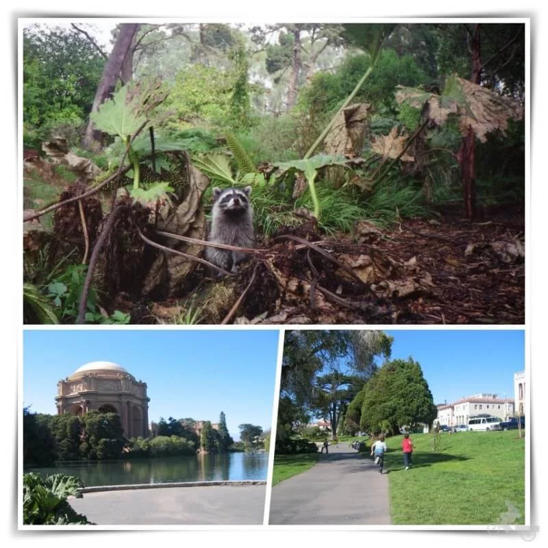 parques de san francisco