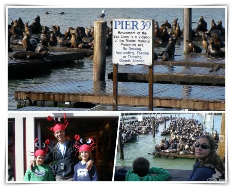 pier 39