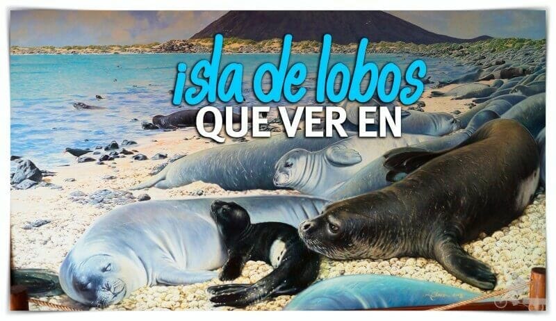 ISLA de LOBOS en Fuerteventura - qué ver y qué hacer