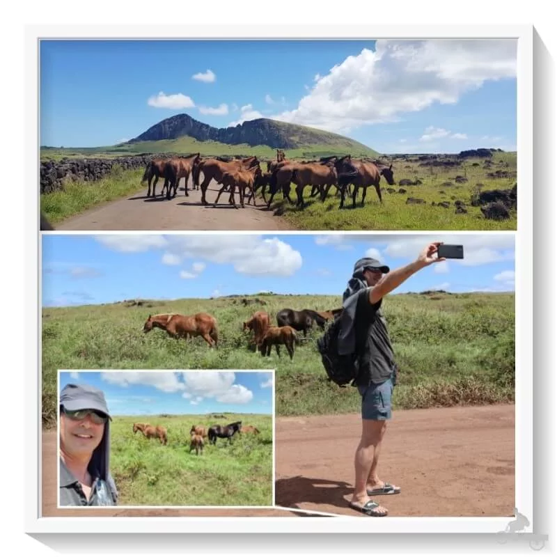 caballos-isla-de-pascua