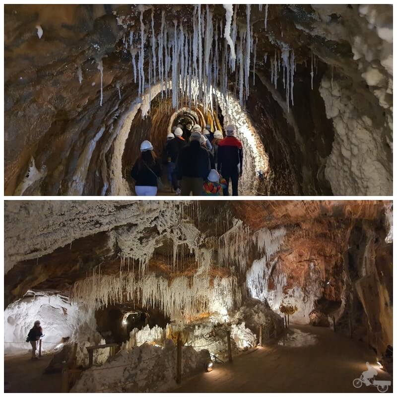 visita minas sal cardona