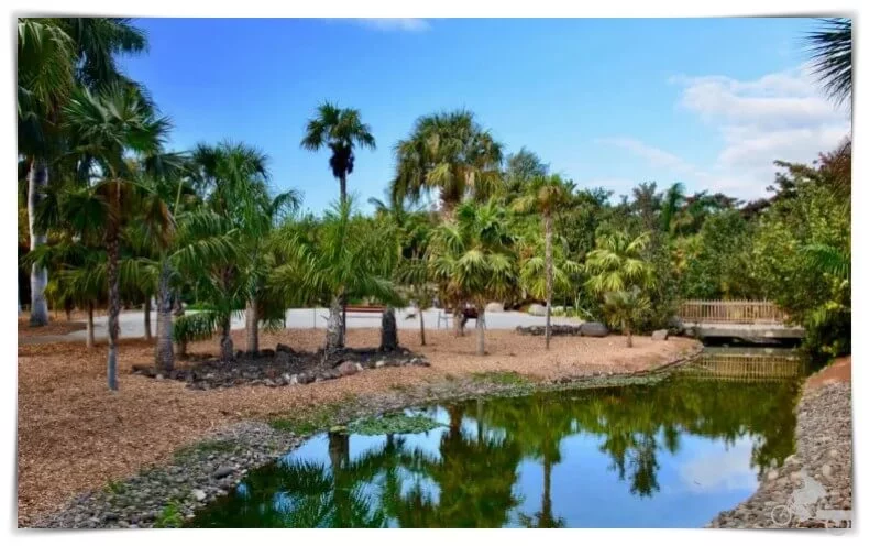 Palmetum - Mejores Free Tours en Tenerife