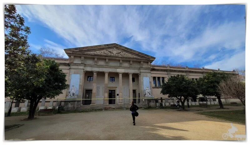 Museo de Geología - Museo Martorell