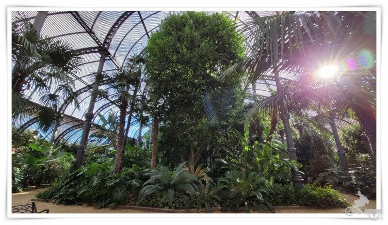 interior umbraculo parque ciutadella