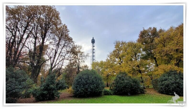 Torre Branca