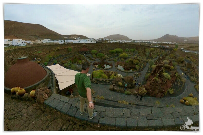 molino jardin cactus