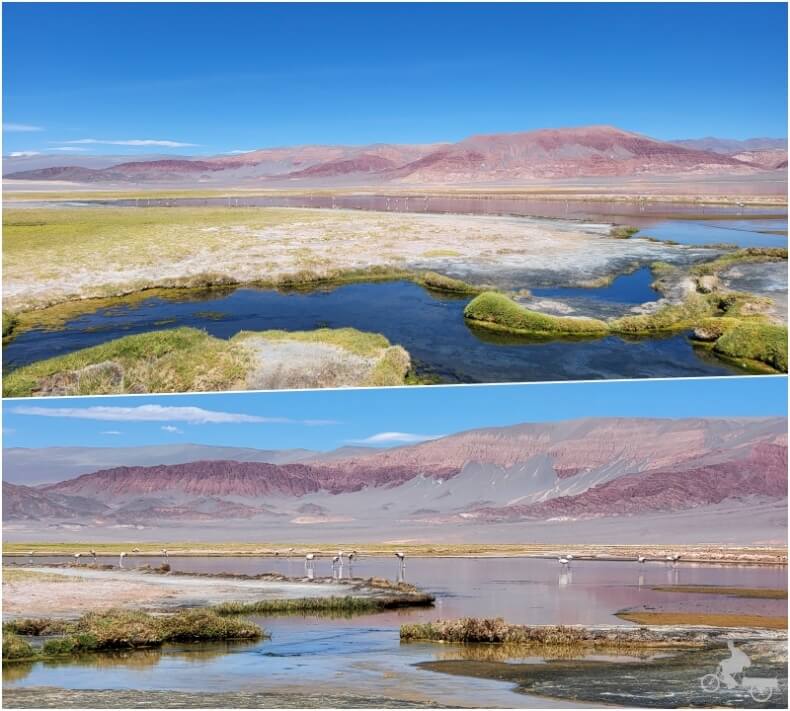 laguna Rosada