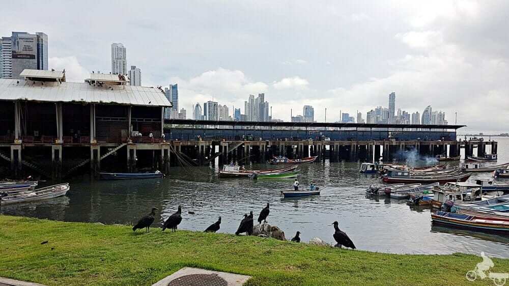 panama city skyline