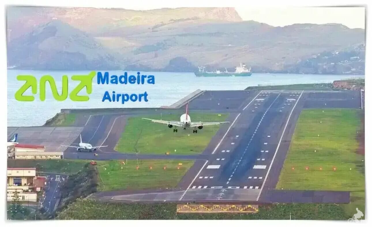 Cómo ir del Aeropuerto de Madeira a Funchal