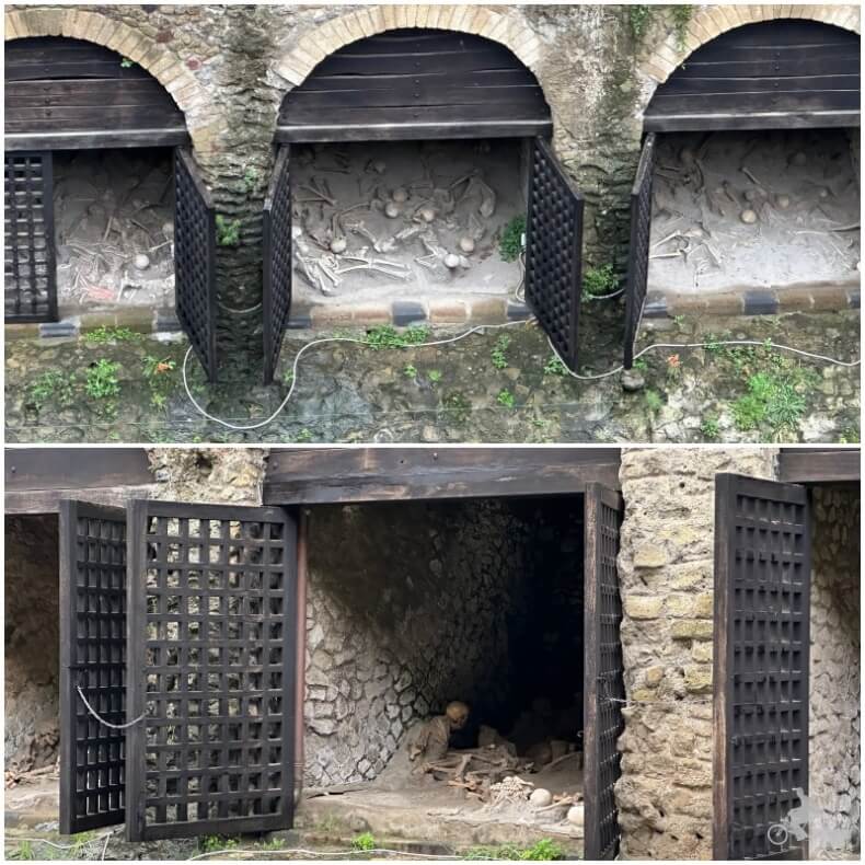 Fornici Ercolani