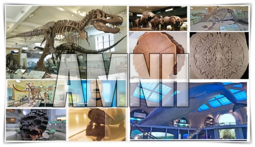 Qué ver en el museo Natural de Historia de Nueva York - AMNH