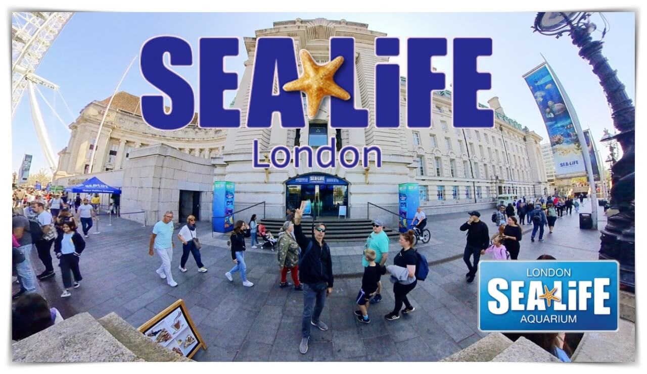 Visitar el Acuario de Londres, Sea Life London