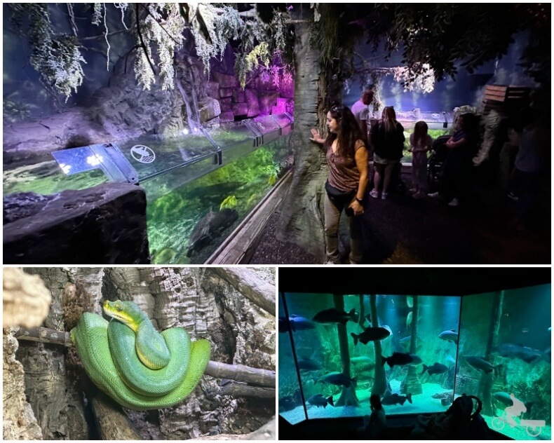 terrario sea life london