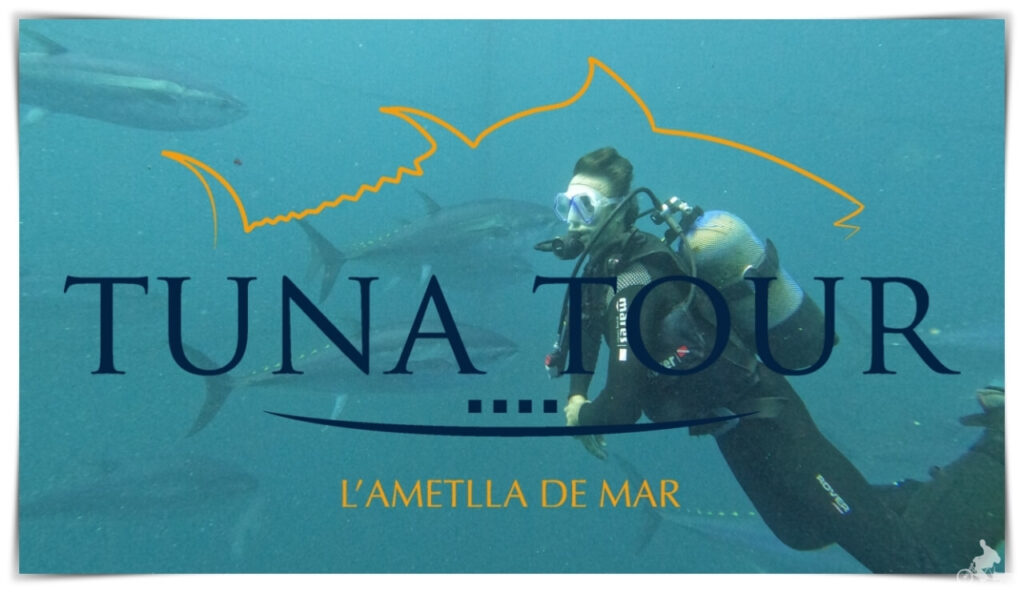 nadar con atunes tuna tour ametlla de mar delta del ebro