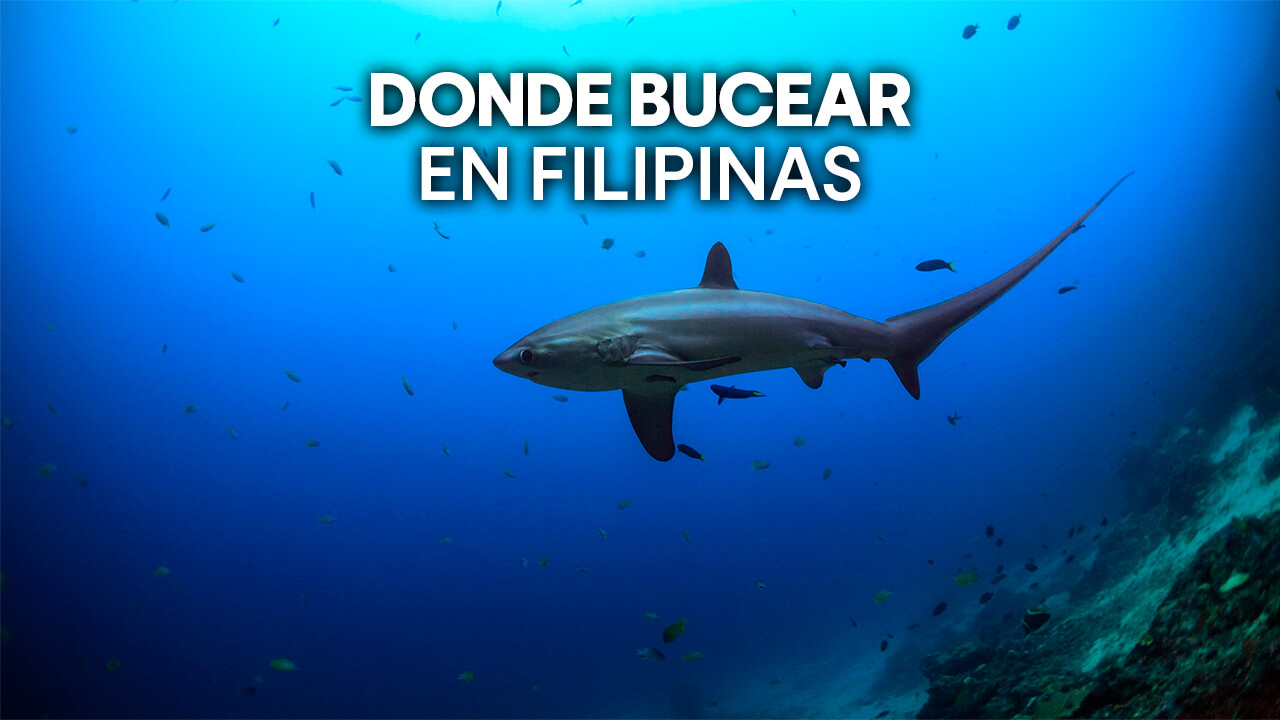 dónde bucear en Filipinas