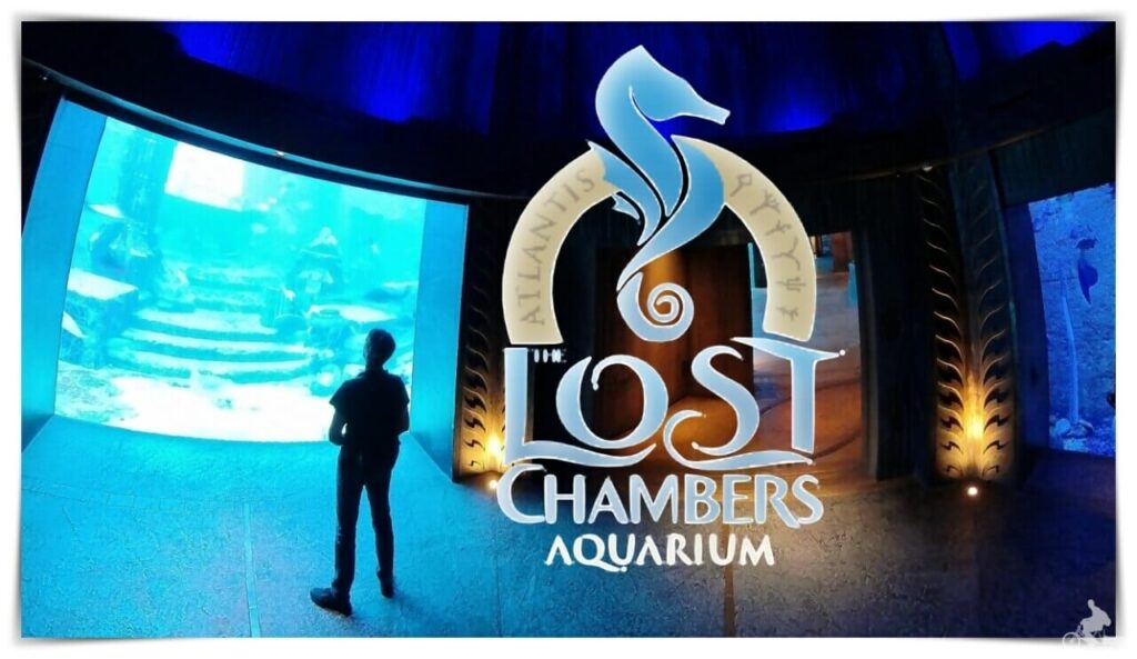 Visitar el Acuario The Lost Chambers en el hotel Atlantis de Dubai