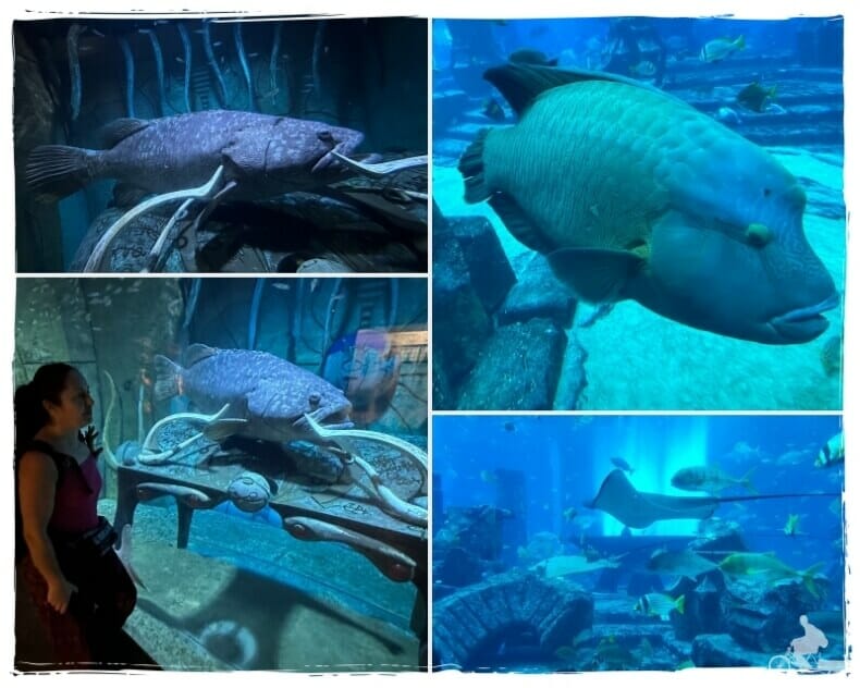 The Lost Chambers en el hotel Atlantis de Dubai