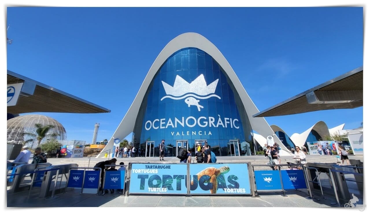 Visitar el Acuario de Valencia, el Oceanogràfic