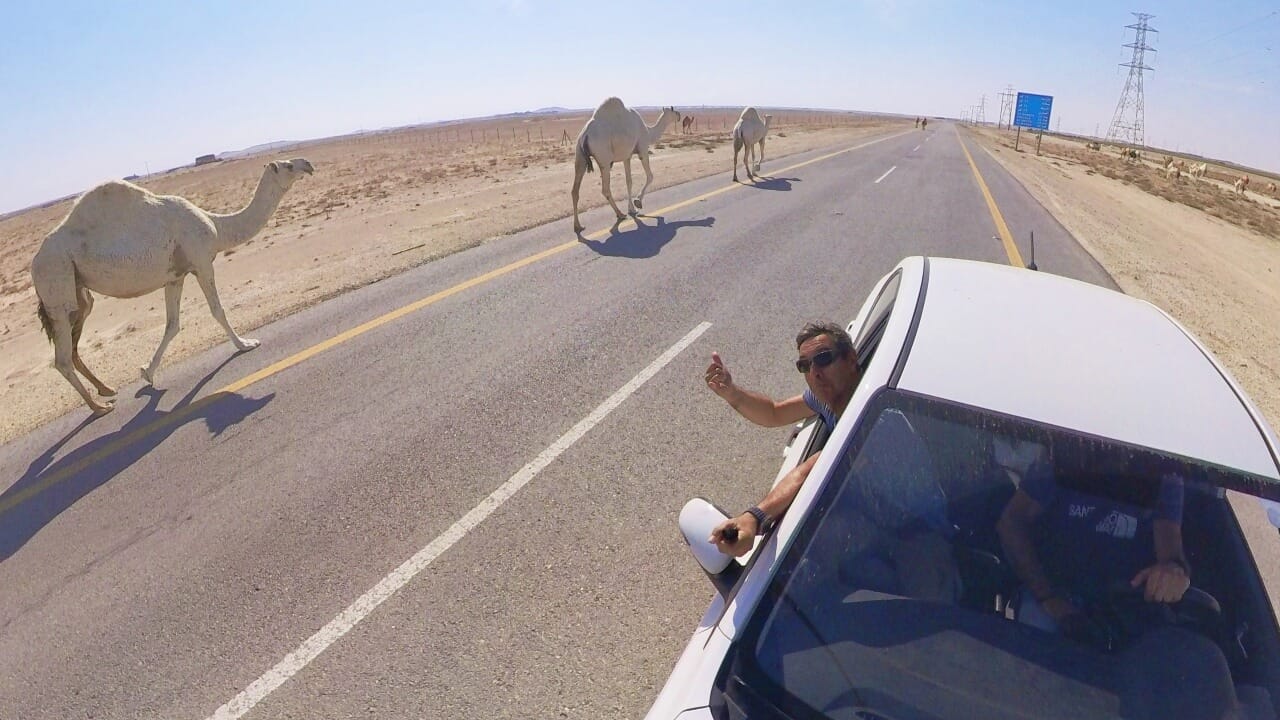 Alquilar un coche en Arabia Saudí y como cruzar a Bahrein y Kuwait