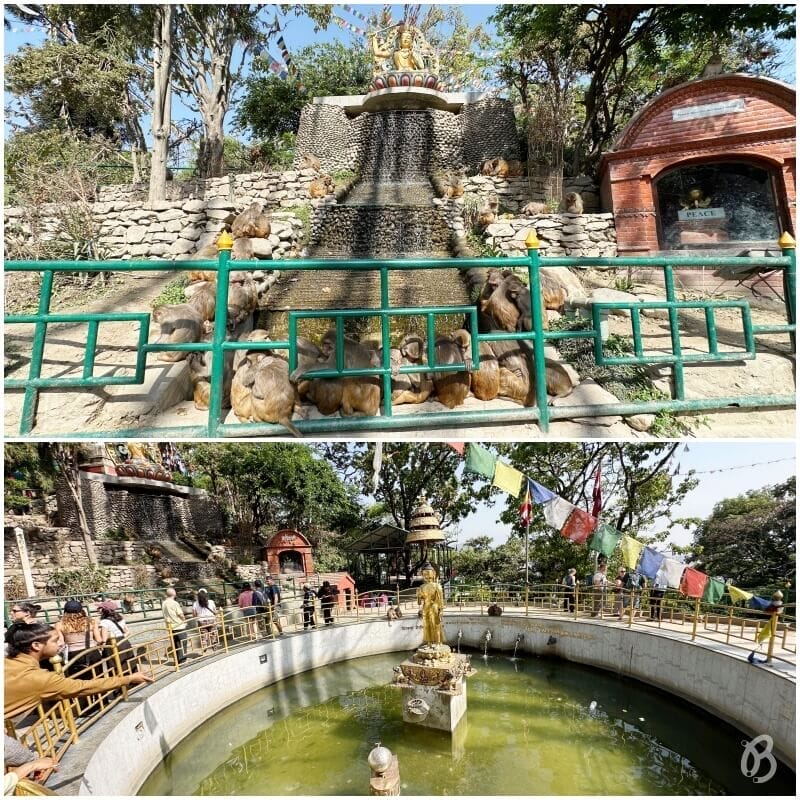 Estatua de Buda en el estanque de la Paz del Mundo