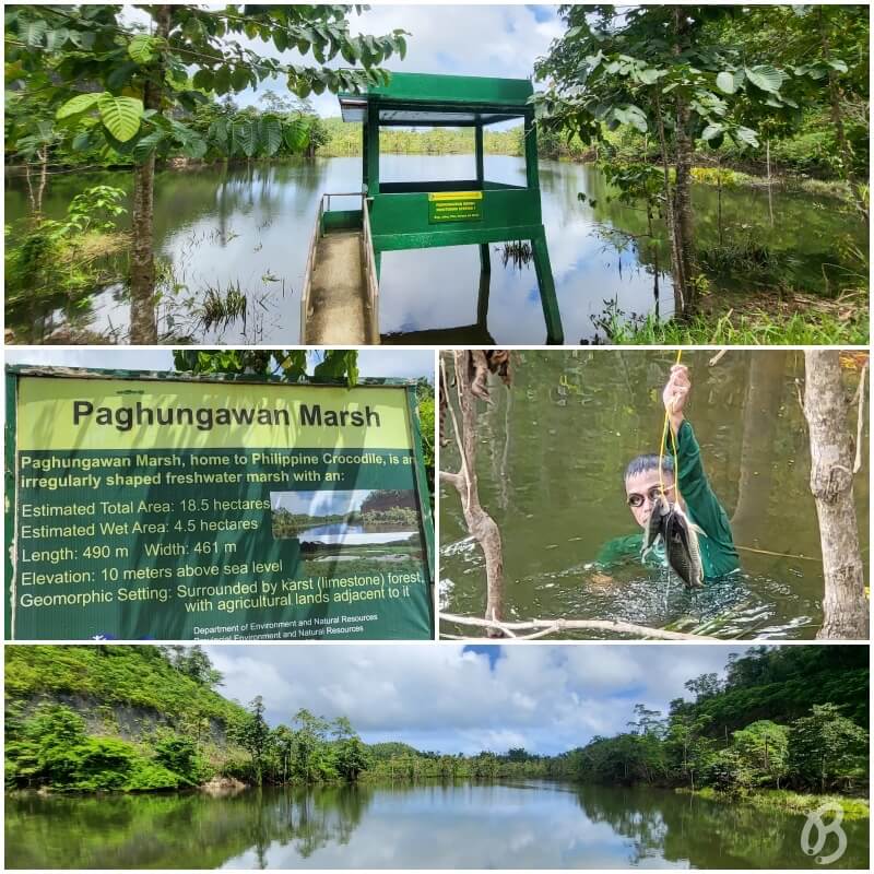 Paghungawan Marsh