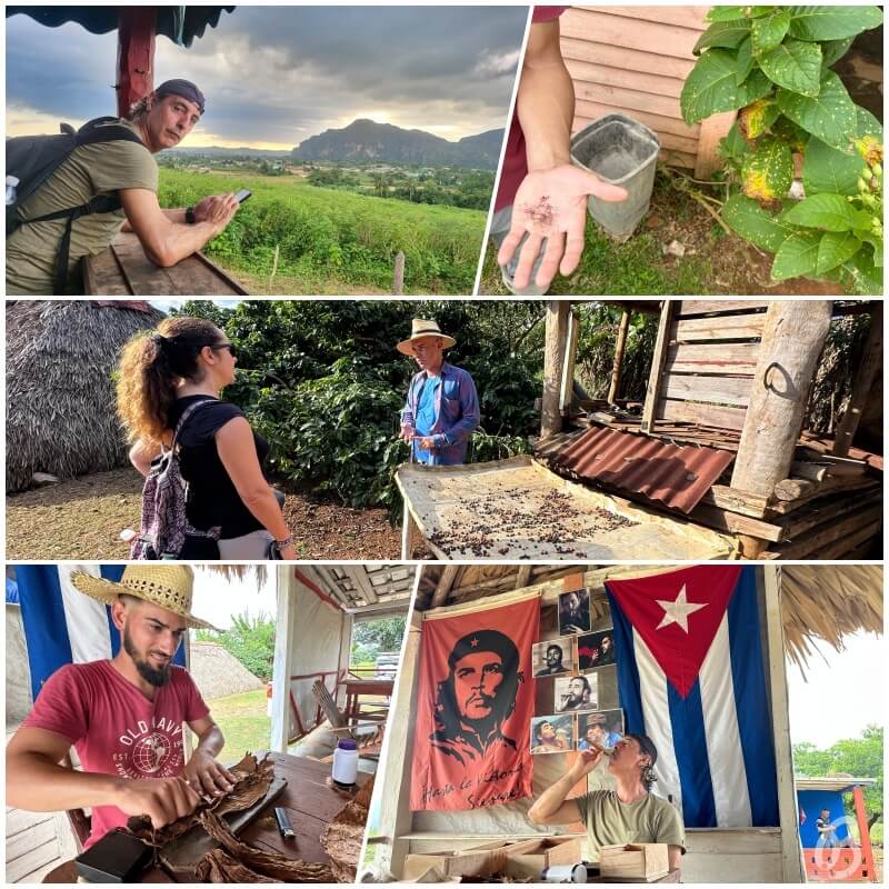 finca viñales tabaco ron y cafe