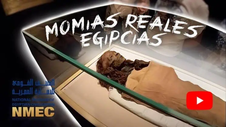 momia real egipcia en el sarcófago en el museo NMEC de El Cairo