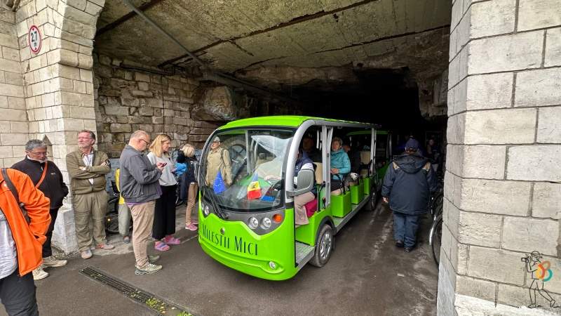 trenecito Milestii Mici