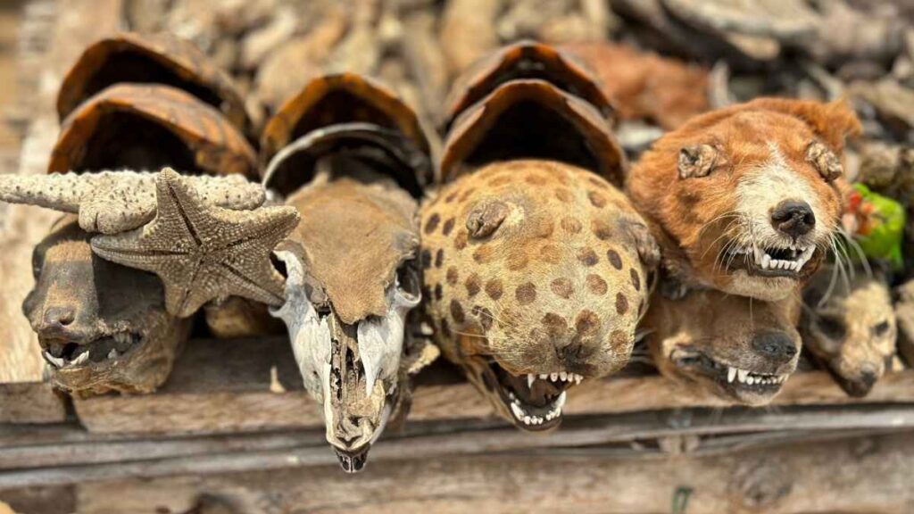 Lugares que ver en Lomé capital de Togo