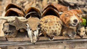 Lugares que ver en Lomé capital de Togo