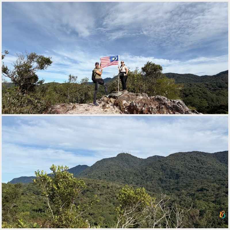 Mossy Forest Cameron Highlands