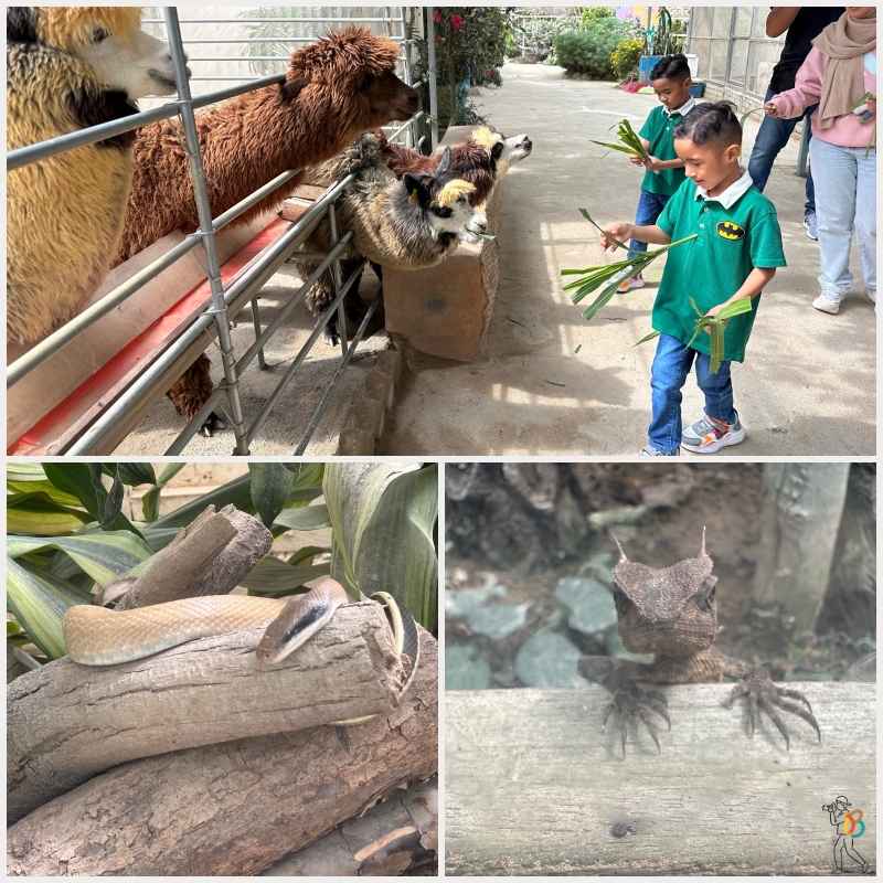 animales mariposario