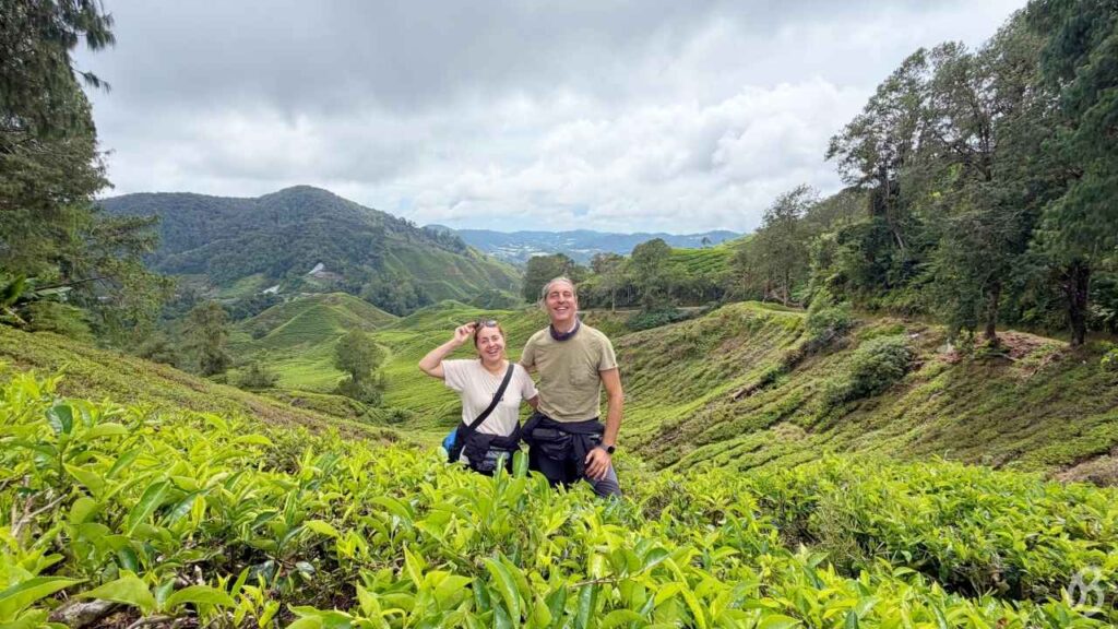 campos de te qué ver en Cameron Highlands