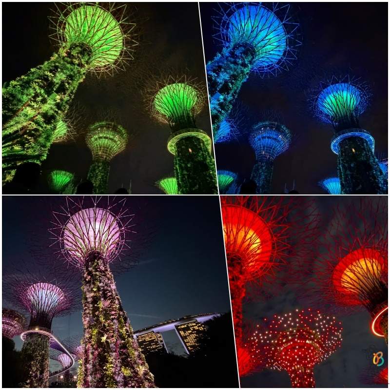 Show Garden Rhapsody