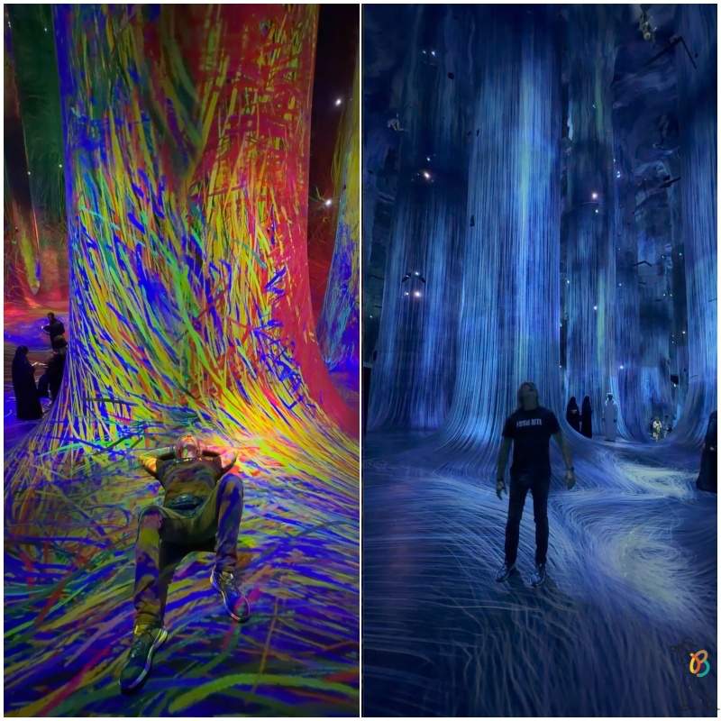 bosque columnas teamlab phenomena abu dhabi