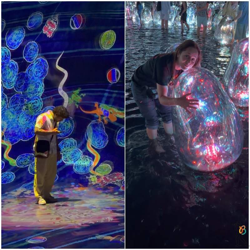 animales de colores de Teamlab