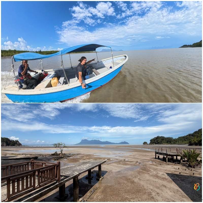 barca por sur de Borneo