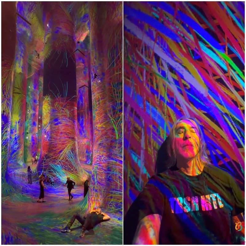 bosque de columnas con haces de luz