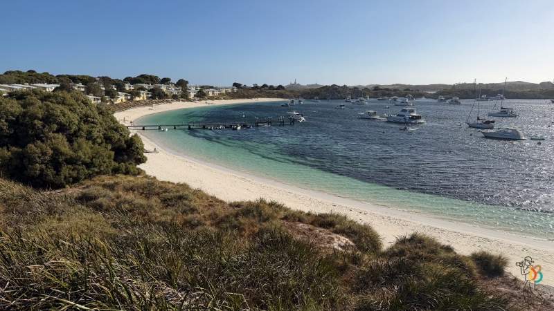 stop 17 parada de la isla Rottnest
