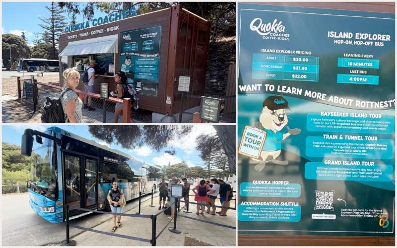 bus turístico Quokka explorer